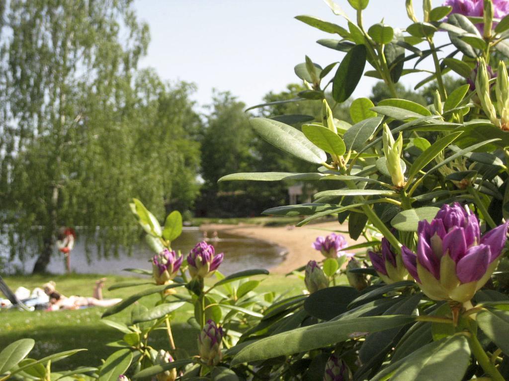 Vaexjoe Hostel Evedal Zewnętrze zdjęcie
